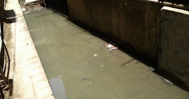 صحافة المواطن.. مياه الصرف الصحى تغرق شارع 14 بالدقى منذ أسبوع