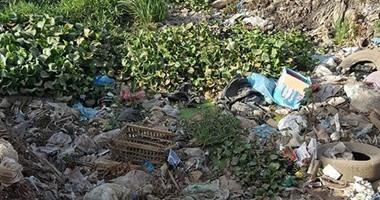 صحافة المواطن: انتشار القمامة بقرية ميت بشار فى الشرقية