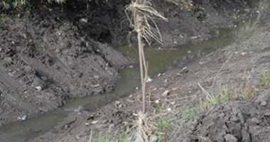 صحافة مواطن:بالصور.. نقص المياه فى الترع يهدد بتجريف أراضى زراعية بالمنيا