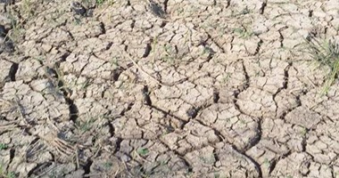 منتفعو بئر 15 بقرية الراشدة بالداخلة يطالبون بإنقاذ زراعاتهم من الجفاف