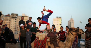 "الطفل العنكبوت" يظهر فى غزة