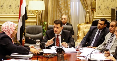 لجنة العلاقات الخارجية بالبرلمان توافق على ميزانية وزارة الهجرة