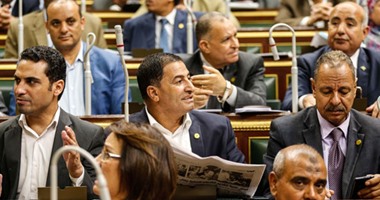 أحمد سعد الدين: لم يتم تعيين مستشارين لرئيس البرلمان سوى محمود فوزى