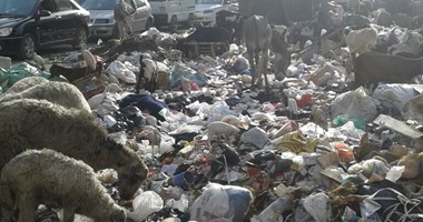 صحافة المواطن.. بالصور.. القمامة تحاصر شارع القومية بالوراق ومناشدات بإزالتها