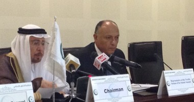 وزير الخارجية يدعو لدعم أشقائنا فى فلسطين لمواجهة التصعيد الإسرائيلى