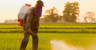 الزراعة توقع  اتفاقية مع "اليونيدو "لتدريب المزراعين على  رش المبيدات بـ3 محافظات