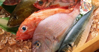 استقرار أسعار الأسماك اليوم بسوق العبور والبلطى يبدأ من 15 جنيها 