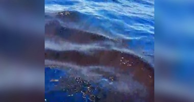 شركة أنابيب البترول بالسويس تحذر من تلوث البحر الأحمر بالصرف الصحى