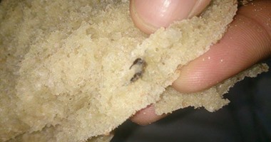 "صحافة المواطن": قارئ يعثر على حشرة فى رغيف خبز بـ"حدائق الزيتون"