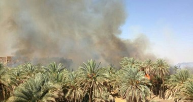 الدفاع المدنى يسيطر على حريق بمزرعة نخيل فى قرية الراشدة دون خسائر