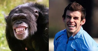 بالصور.. اضحك مع انفعالات نجوم الكرة وتشابهها مع الحيوانات