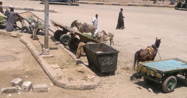 "صحافة المواطن": محطة بنزين تتحول لإسطبل حيوانات بمدينة إسنا فى الأقصر