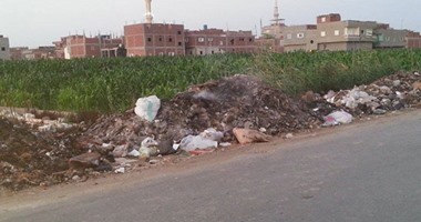 صحافة المواطن.. شكوى من انتشار القمامة فى مدخل قرية دميرة بالدقهلية