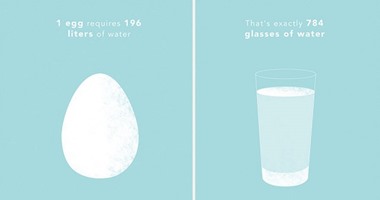 كم كمية المياه "التى تأكلها"كل يوم؟..غير عاداتك الغذائية للحفاظ على المياه