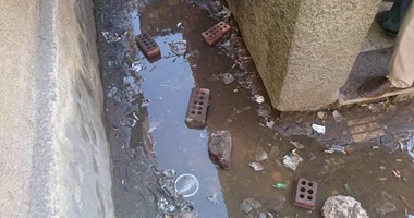 "صحافة المواطن": مدخل الشهر العقارى بالدقهلية يغرق فى مياه الصرف