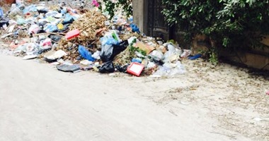 صحافة المواطن.. انتشار القمامة فى شوارع حى العجمى وسط غياب عمال النظافة