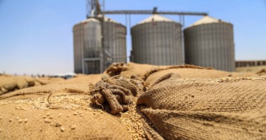 "الصناعات الغذائية": استمرار هبوط السعر العالمى للقمح للشهر الثالث