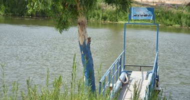 بالصور.. المياه الجوفية تحاصر 2000 فدان بقرية المنايف بالإسماعيلية