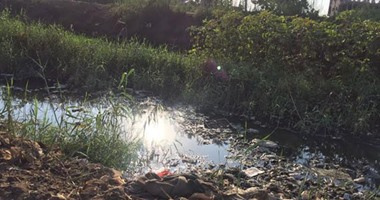 بالصور..مصرف تطاى بالسنطة يهدد القرى بالغرق بسبب ارتفاع منسوب مياه الصرف