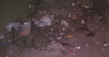 بالصور.. أهالى شارع عبد الهادى بالمنيل يعانون من انتشار القمامة