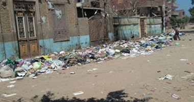 صحافة مواطن: أهالى قرية دلكه بالمنوفية يشكون تراكم القمامة
