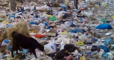 نائب الإسكندرية : أزمة القمامة بالمحافظة فى طريقها للحل
