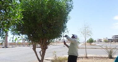 مرسى علم تبدأ العمل بمبادرة "حلوة يا بلدى" بقص أشجار الشوارع