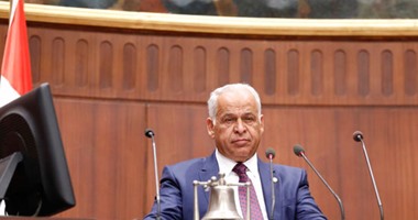 لجنة الشباب بالبرلمان تقرر تكريم أبطال مصر فى الألعاب الأولمبية والبارالمبية