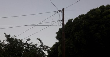 كهرباء الدلتا ترد على مطالبة علاج ضحية عامود إنارة بطوخ على نفقة الدولة