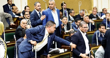 بالصور.. مشادة تحت قبة البرلمان بين محمد أبو حامد وأحمد طنطاوى بسبب "30 يونيو"