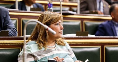 عضو "صحة البرلمان": مافيا تقف وراء نقص الأدوية وننتظر تشكيل "تقصى الحقائق"
