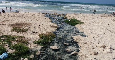 القابضة للمياه تعليقاً تلويث المجارى لـ"شاطئ النخيل": ليست لنا أعمال هناك