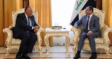 الخارجية: لقاء شكرى برئيس برلمان العراق تأكيد للعلاقة القوية بين الشعبين