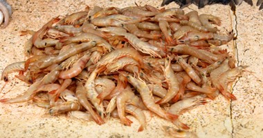 ضبط 16 ألف عقار و2285 سلعة مستوردة و227 كيلو سكر تموينى بأسيوط