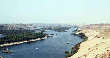 "الرى": إزالة 80% من ورد النيل بفرع رشيد