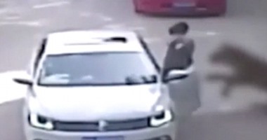 نمران يقتلان امرأة ويصيبان أخرى خرجا من سيارتهما فى حديقة حيوان ببكين