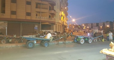 محافظ الإسكندرية يحظر سير مركبات النقل البطئ بأنواعها في الشوارع الرئيسية