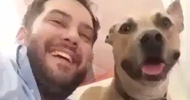 بالفيديو والصور.. اتعلم حيلة بسيطة لو قررت تتصور"selfie" مع كلبك