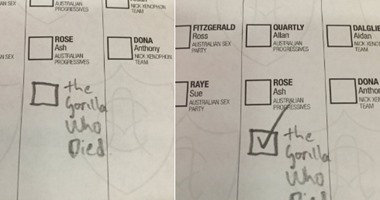 الإندبندنت: الأستراليون يصوتون للغوريلا "هارمبى" فى الانتخابات البرلمانية