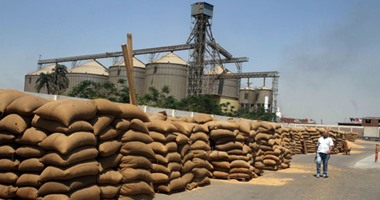 "تموين أسوان": تخطينا نسبة 100% من القمح المستهدف توريده للصوامع بالمحافظة