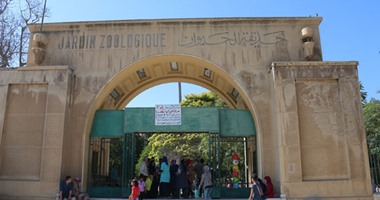مديرة حديقة الحيوان بالإسكندرية: برنامج تطهير شامل على مدار الأسبوع