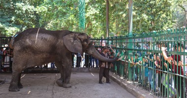 حديقة الحيوان تنسق مع مديرية أمن الجيزة لزيادة الخدمات الأمنية بالعيد 