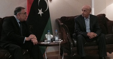 وفد مصرى رفيع المستوى يزور ليبيا ويبلغ مسئوليها رفضه التدخل بشئونها