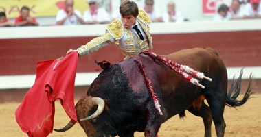 بالصور.. مناصرو حقوق الحيوان فى إسبانيا ينتفضون ضد مصارعة الثيران