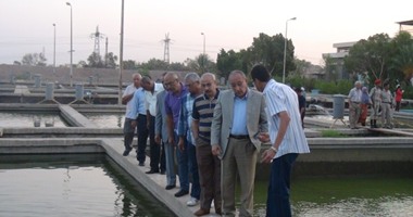 زيادة الإنتاج السمكى لبحيرة ناصر 7% عن نفس الفترة من العام الماضى