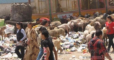 بالصور.. أهالى الخصوص بالقليوبية يطالبون بإقالة رئيس المدينة