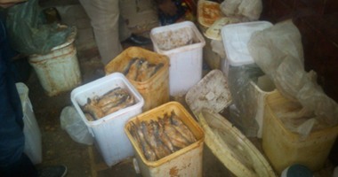 ضبط 20 طن أسماك مملحة غير صالحة للاستخدام الآدمى بكفر الشيخ