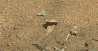 الإندبندنت: مهووسو الفضاء يزعمون العثور على عظمة فخذ فى المريخ