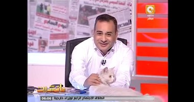 بالفيديو.. جابر القرموطى يحضر قطة للتعليق على قتل القطط بنادى الجزيرة