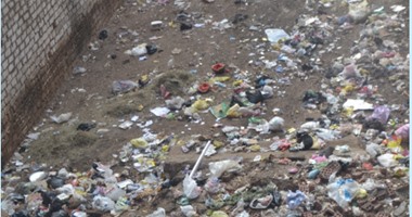 "صحافة المواطن".. انتشار القمامة خلف مجلس مدينة "طوخ" بالقليوبية